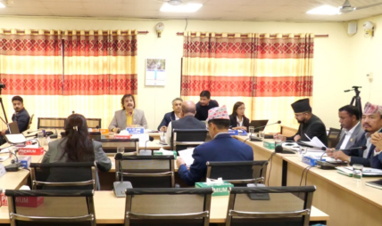 संवैधानिक पदाधिकारीको दोहोरो सुविधा रोक्ने विधेयक पारित