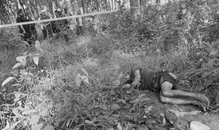 कैलालीमा बाघको आक्रमणबाट एक जनाको मृत्यु