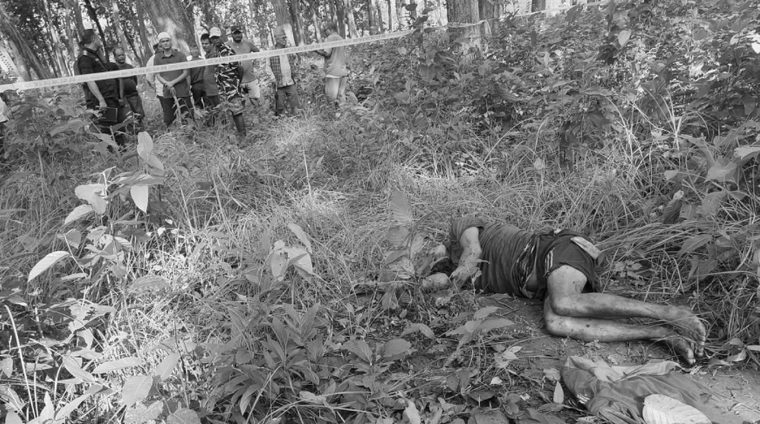 कैलालीमा बाघको आक्रमणबाट एक जनाको मृत्यु